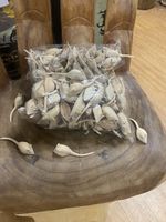 ChiselCraft 100 (One Hundred) Wooden Mice Wood Carvings Quality Grain  Mouse