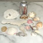 700g Natural Sea shells & Coral Mix Fish Tank Aquarium Decor AS SHOWN #1