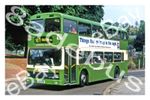 Bus Photograph MAIDSTONE & DISTRICT M911 MKM [5911] '96