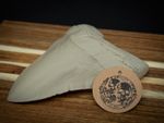 Life Size Megalodon Tooth Replica – Realistic 3D Printed Fossil Display Model