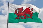 150cm x 90cm Wales Welsh Dragon Cymru Rugby 6 Nation Flag Banner Speedy Delivery