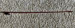 Baroque Violin Bow full size never used