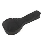 1 Piece Electric Mandolin   of Black as described