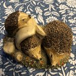 Hedgehog Family 