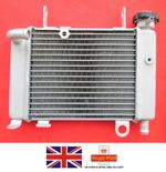 Honda CBR 125 R Radiator 2011 - 2020 ** BRAND NEW **