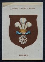 SURREY County Cricket Badge 1921 Godfrey Phillips ANON SILK