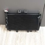 For Triumph Speed Triple 955i 2002 2203 Black Aluminium Racing Radiator