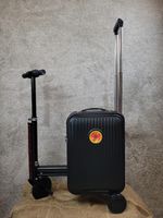 Red Bee Supplies Silver Scooter Luggage Case with Extendable Handle