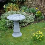 Cameo Bird Bath with tall stem