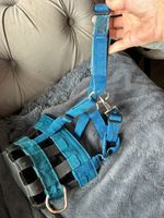 Blue grazing muzzle - pony/cob