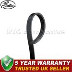 Gates Drive Belt Fits Fiat Ducato 2019- 2.3 D 5802039987