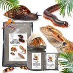 Milled Oyster Flour Organic Calcium Supplement Snails Tortoises Reptiles 200g