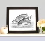 BARBEL On The Pellets MOUNTED Pencil Drawing Art Print Picture Fishing Present 