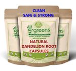 Dandelion Root Capsules 6500mg Strong Extract Natural 100% Natural 5greens 