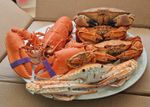 --Cooked Series Crustacean Bundle Taxidermy--