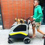 Large Dog Stroller Pet Pram Wagon Spacious Cabin Travel Trolley Pet Trailer Cart
