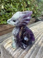 Fluorite Baby Dragon