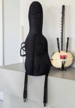 Custom Made 21 String Kora West African Harp Electro Acoustic one string missing