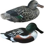 Shoveller Duck Decoy Floating Wildfowling Full Body HD Male Drake Female Hen