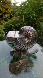 19th Century Hukin & Heath Silver Plated Nautilus Spoon Warmer, stamped on base