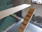 Wooden Ramp/Ladder Chinchilla & Other Pets. Full Range of Sizes.