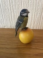 Taxidermy Blue Tit .This Is Not A Protected Species