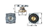 GATES RC130 CAP, RADIATOR FOR FIAT,LADA,TALBOT