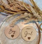 It's a Boy Girl Baby Arrival Sign Gender Reveal Circle Wooden Disc Plaque CHEAP!