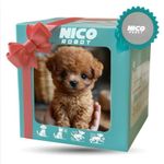 My Realistic Robot Puppy Electronic Robot Pet Dog Cute Gifts for Kids