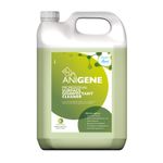 Anigene Disinfectant Cleaner – Dill - 5 Litre