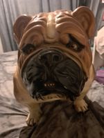 British Bull Dog  Life Size Statue Ceramic