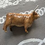 Border Fine Art Highland Cow