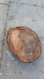 Cherry Wood /Log/Slab/Offcut/Turning/Carving/Crafts/Bowls Seasoned SEE PICtures