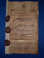 Albus Dumbledore Last Will & Testament . Harry Potter replica prop