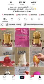 Profitable Social Media Business  - 356K Followers - Bath & Body Category
