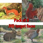Pack of 8 JVD Small Animal Target Face Package