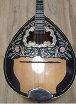 4 string greek bouzouki & hardcase & pickup & 300 backing track with pdf scores