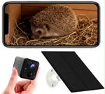 Hedgehog House Camera WiFi Solar 5MP, Live View App, Night Vision, Motion Alerts
