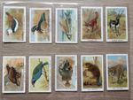 A Complete Set of Wills Cigarette Cards Birds Beasts & Fishes