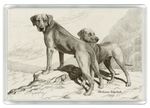 RHODESIAN RIDGEBACK DOG FRIDGE MAGNET GREAT GIFT