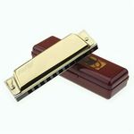 EASTTOP Professional 10hole Diatonic Harmonica Key of C Blues Harp Birthday Gift
