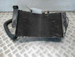 Honda CBR 900 RRY-RR1 (2000-2003) Radiator