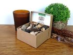Authentic Large Fossil Box: 80+ Trilobite Ammonite Shark Teeth + More Gift Box