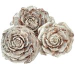 Cedar Cones Rose Shape 4-6cm White/Natural 50pcs, Pack of 50