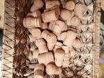 Used champagne style corks x 100