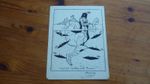 WW1 ORIGINAL 1916 PEN & INK SKETCH TURKEY THREATENED BY RN SUBMARINES 8 X 6"