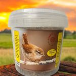 Wild Bird Super Dried Mealworms 5 litre Tub Includes FREE Bird Seed In A Can
