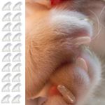 20pcs Clear Soft Nail Caps for Cat Paws Cat Nail Caps Claws Nail Covers For Cat