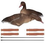 Nitehawk Sitting & Feeding Greylag Goose Decoys Realistic Shooting/Hunting Geese