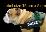 Personalised EMBROIDERED NAME LABEL (tag patch) for julius k9 dog harness LARGE